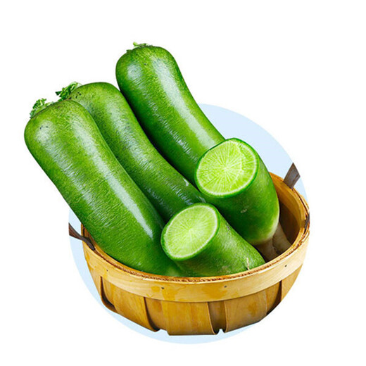 Tianjin Shawo radish seeds fruit radish seeds green radish raw crispy sweet moisture Dawei County radish Tianjin Shawo radish 100g original