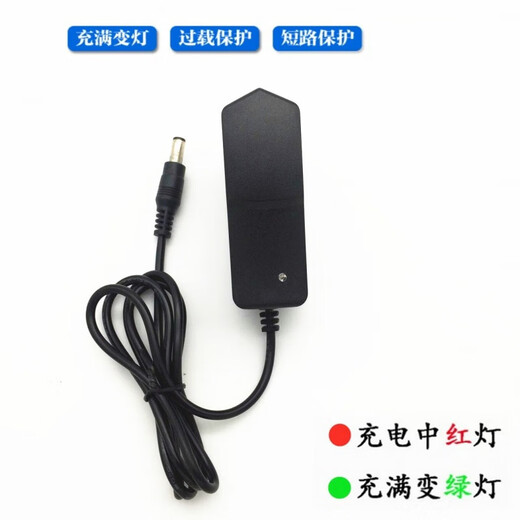 Electric fascia gun charger 24V1A universal 26V25.2V massage gun 12.6V16.8V8.4V charging cable DC24V1A charger one meter cable