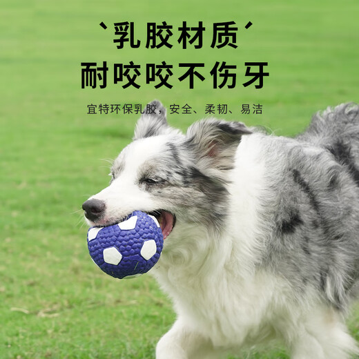 EETOYS Latex Sound Toy Ball Small Four-piece Set Dog Toy Fun Interactive Teething Companion Relieve Boredom Pet Supplies