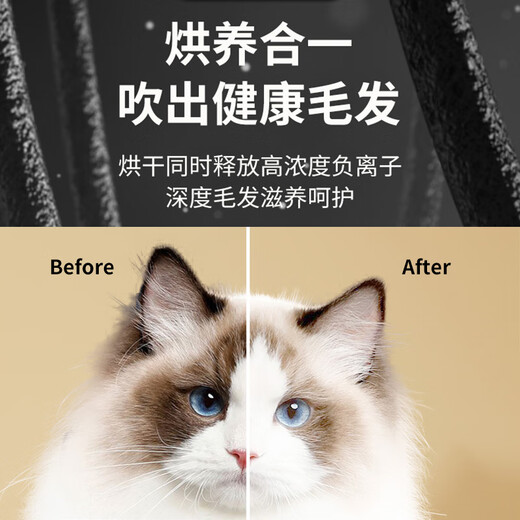 Pet Zhidi Cat Dryer Pet Drying Box Small Dog Hair Dryer Household Pet Bathing and Hair Drying Artifact Portable Drying Box 45L Standard Model