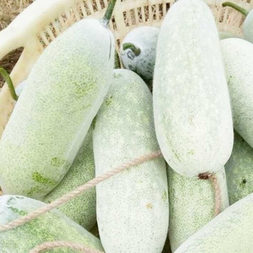 One melon per section, winter melon seeds, hairy section melon, small winter melon, stable yield for all seasons in spring, potted vegetable seeds, 50 pieces, pink-skinned winter melon