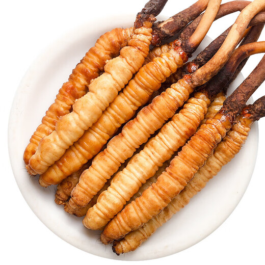 
Fudonghai Cordyceps gift box [Excellent quality whole piece] Select high-altitude freeze-dried high-clean and unbroken grass to give gifts. 10 fresh Cordyceps (freshly harvested and cold chain shipped)