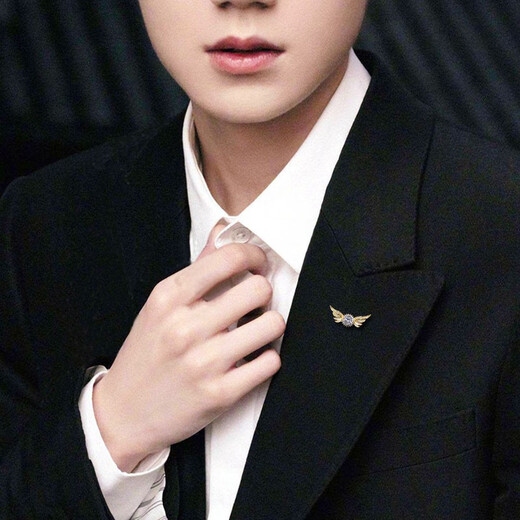 WOUG Hao Angel Wings Men's Brooch Light Luxury Corsage Simple Suit Decoration Lapel Pin Creative Gold One
