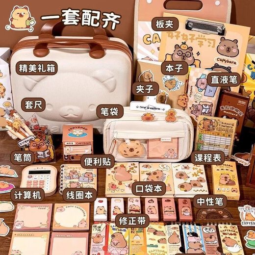Kapibala Stationery Ensemble cadeaux d'anniversaire Cadeaux scolaires High-Procision Stuciss Supplies Box Girl [New Learning and New Mood Stationery] [1049 pièces] [Célébrer le début de l'école / de l'apprentissage nouveau et de la nouvelle papeterie de puissance / d'apprentissage] Nouveau semestre