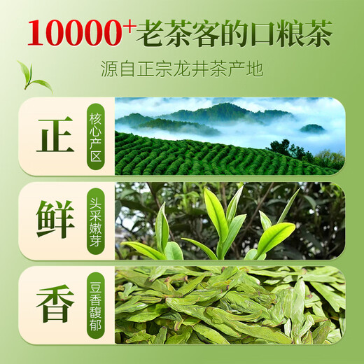Shifangyi 2024 New Tea Longjing Tea Premium Mingqian Tea Green Tea 250g Gift Box 250g