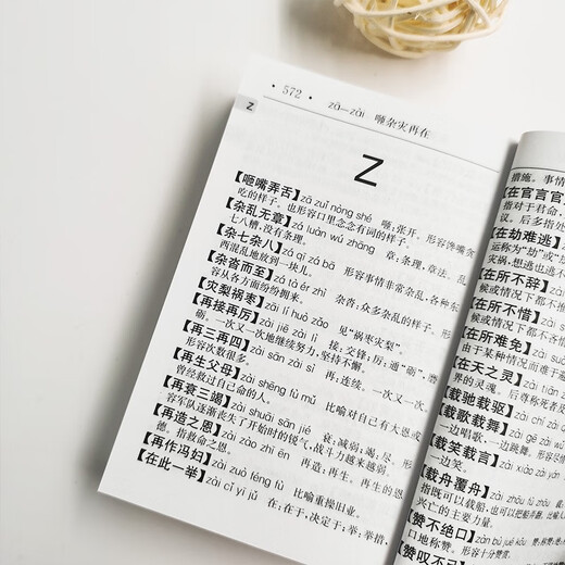 Idiom Dictionary (Portable Version)