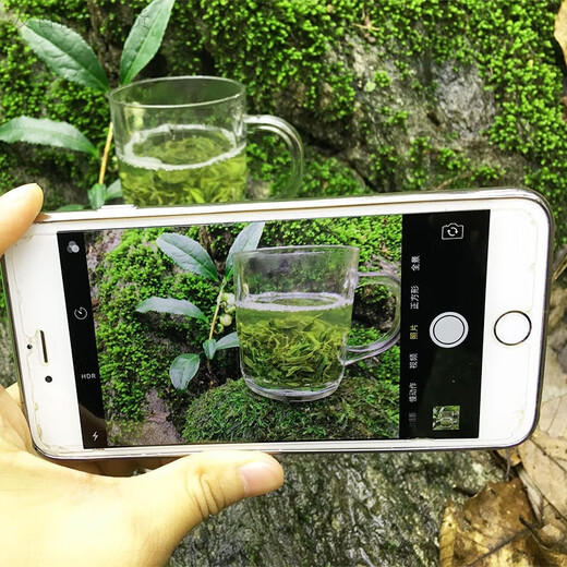 Hongyun Tea Buy one Jin Jin equal to 0.5 kg Get half Jin Jin equal to 0.5 kg Xinyang Maojian 2024 New Tea Before the Rain Spring Tea Alpine Cloud and Mist Bulk Green Tea Green Tea Half Jin Jin equal to 0.5 kg Bag (None)