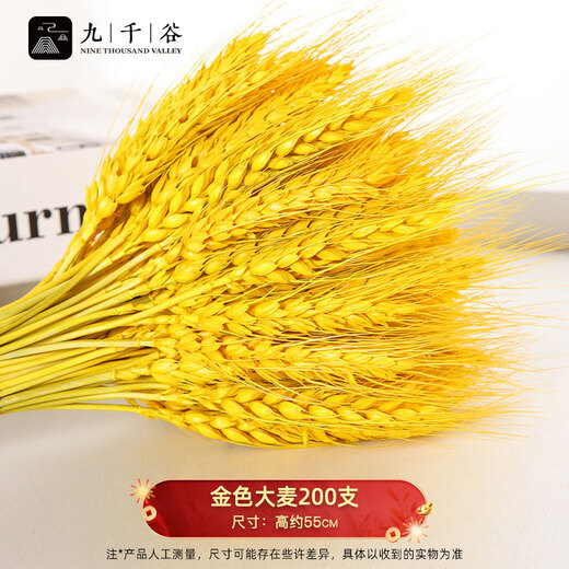 Nine thousand grains of wheat ears dried flowers and barley simulated bouquets for home living room pastoral decoration fake flower props gold 200 pieces 4404