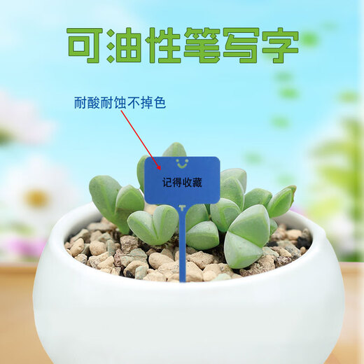 奔新农名称插签花盆标牌标识兰花插地牌花卉记号牌小号园艺多肉植物标签 混色30个(9.6cm)