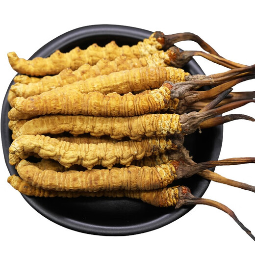 
Selected authentic snow mountain cordyceps sinensis genuine first-stage fresh cordyceps 50g gift box for 4 pieces/gram dry goods Tibet Nagqu Cordyceps 50 pieces gift box for 2 pieces/gram