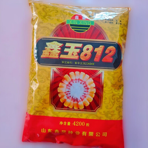 Big cob corn seed Xinyu 812 is disease-resistant, insect-resistant, high-temperature-resistant and high-yield, the first gold grain original Big cob corn seed Xinyu 812 is disease-resistant, insect-resistant, high-temperature and high-yield, No. 1 gold