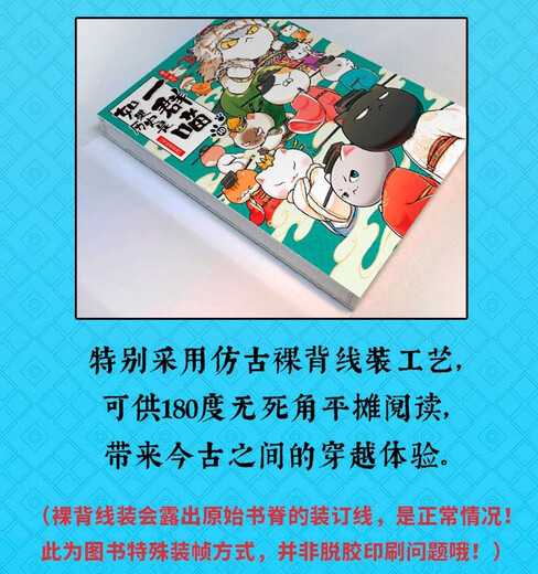 如果历史是一群喵10·宋辽金夏篇 假如历史是一群喵 正版 历史是一群喵 肥志历史科普漫画书 小学生儿童漫画趣味中国史绘本王安石变法动漫 第15册大清风云篇 