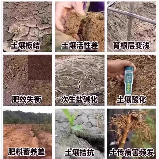 Soil loosening essence soil loosening activator black water fertilizer universal type to prevent hardening and fluffing activation treasure loose soil artifact 1000 grams in one bag, can be used for 2 acres of land