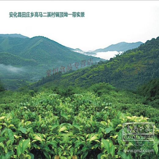 Chiyan Anhua Black Tea Jinhua Fu Brick Black Tea 450g Gaoma Erxi Fu Brick Black Tea Tea Brick Xiyun 450g Xiyun Fu Brick