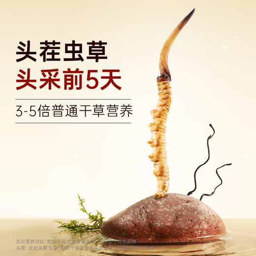 阿依舍冬虫夏草特大号断草20克自食佳选高性价比家庭滋补父亲节礼物