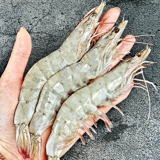 Jingdong Supermarket directly sourced Ecuadorian white shrimp from overseas, salted and frozen, net weight 4Jin Jin is equal to 0.5kg, 60-80 pieces/box, self-operated hot pot ingredients