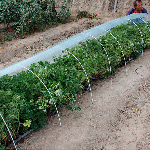 Beishu insect-proof net, vegetable growing net cover, vegetable field arch shed protective net, vegetable shed plastic film and bracket insulation film to prevent cold, grow vegetables to prevent cold and thickened arch shed film, 2 meters wide * 5 meters long + 10 support poles