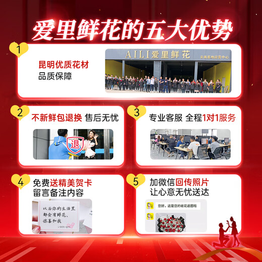 Airi Flowers intra-city express delivery giant bouquets of roses, birthday flowers, date flowers for girlfriends, gifts for besties, 33 purple roses, pink snow mountain powder, platycodon mixed bouquets