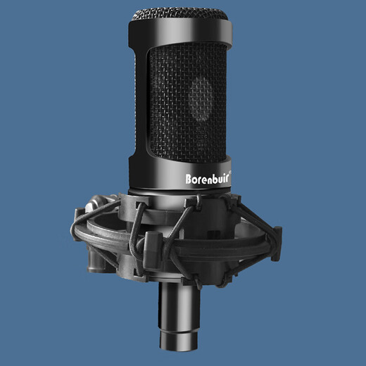 Burren Bell BL-500 condenser microphone audiobook recording equipment professional anchor recitation dubbing broadcast set recording studio grade BL-500 + Aiken U SOLO set (book recording and singing style)