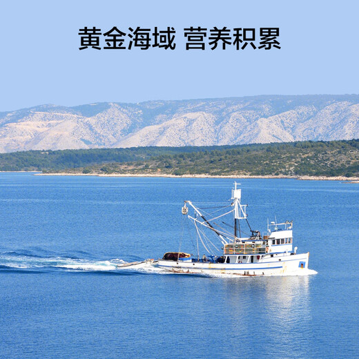 Dalian frozen ready-to-eat sea cucumbers made in Tokyo, net weight 2kg, 32-40 pieces, Liao sea cucumber mass sales gift box