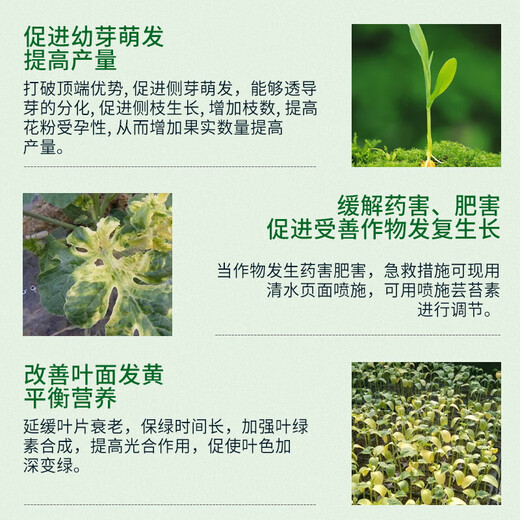 Guoguang 0.01% 24 epibrassinolide lactone strong seedling plant flower-preserving fruit pesticide plant regulator 500ml