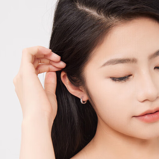 Liuguifu Jewelry PT950 Platinum Earrings Starry Platinum Earrings Platinum Earrings for Women PT0200016 2.55g