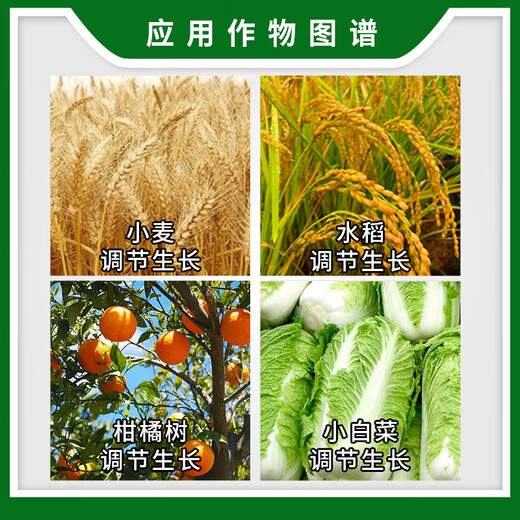 Shuofeng 481 Flower Fruit Brassinosteroid Wheat Regulator Fruit Expansion Regulator Fruit Set Rate Growth Regulator 500ml