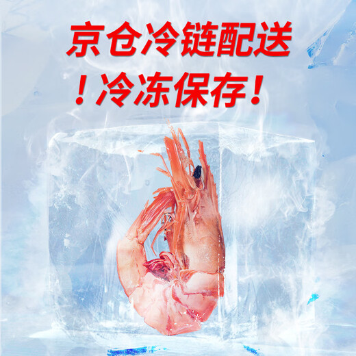 Chase Haidi 2XL Large Dried Prawns 400g Ready-to-Eat Grilled Dried Shrimps Nine-Section Large Shrimp Rice Noodles Snacks Dried Seafood