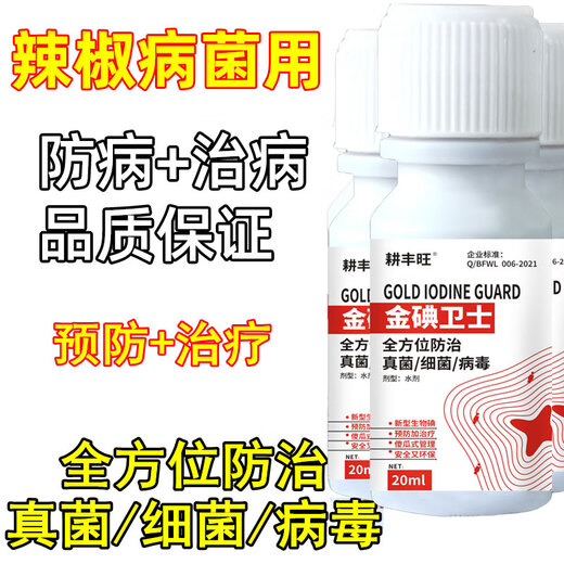 Gengfengwang pepper special agent, pepper disease medicine, gray mold early and late blight, wilt, downy mildew virus disease, pepper medicine 500ml (30 acres)