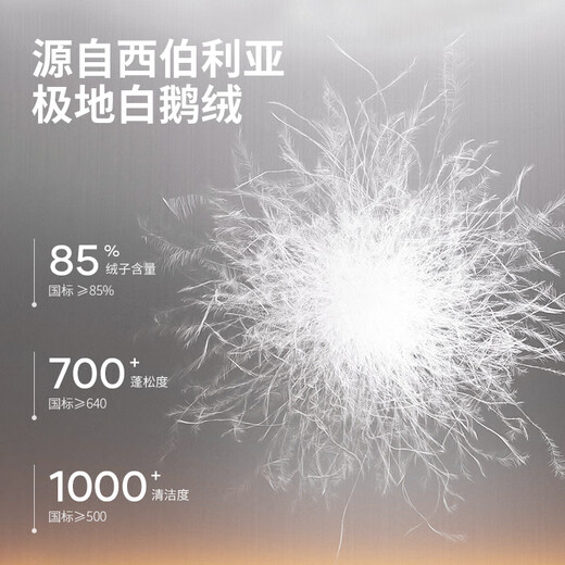 Meilicheng Down Jacket Women's Warm Swan Series Goose Down Light Warm Mid-Length Three-Proof Warm Jacket White L