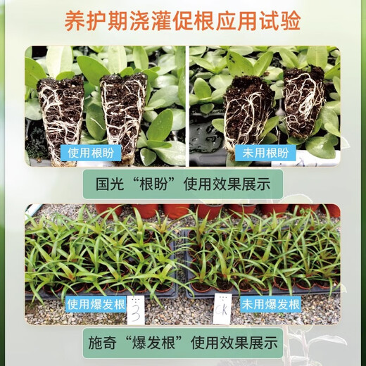Guoguang Genpan 5% indolinacetic acid rooting and seedling strengthening agent plant universal transplanting rooting agent cutting powder liquid pesticide 25ml