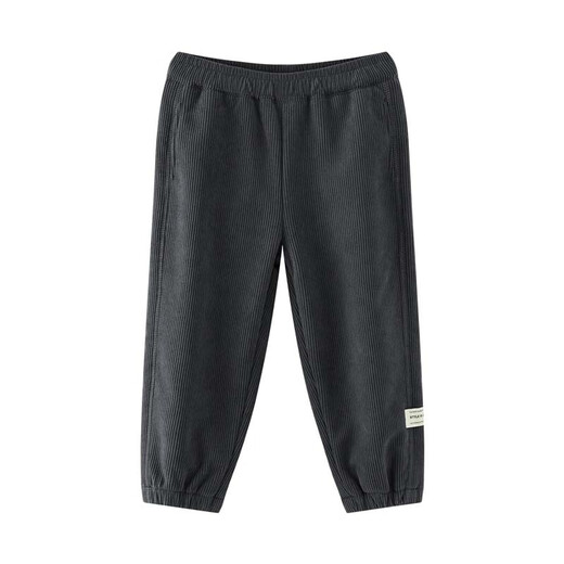 Zuoxi Boys' Velvet Pants Casual Pants 2025 New Children's One-piece Velvet Corduroy Trousers Trendy Gray 120