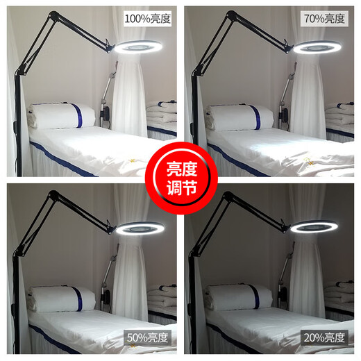 枫岚情 FENGLANQ纹绣灯美容灯美甲美睫纹眉落地灯110VLED照脸睫毛纹身工作灯 白色16瓦双色配放大镜