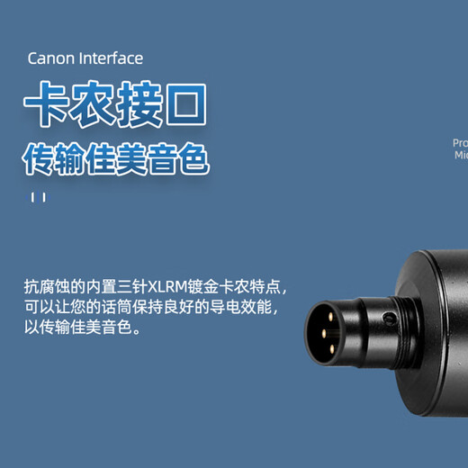 Burren Bell BL-500 condenser microphone audiobook recording equipment professional anchor recitation dubbing broadcast set recording studio grade BL-500 + Aiken U SOLO set (book recording and singing style)