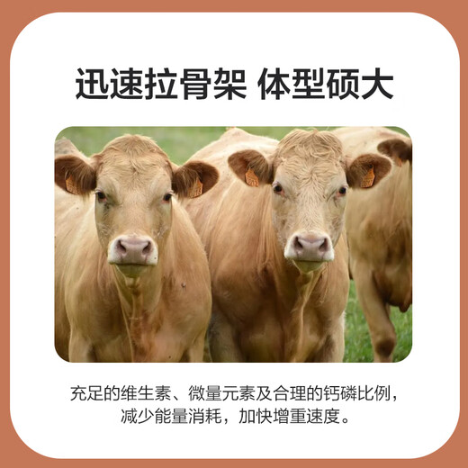 East China Zhengda 4% beef cattle and sheep premixed calf and lamb fattening cattle and sheep material to fatten and gain weight, pull the skeleton without loose stools, and get 1 free for 10 special materials for sheep (11 bags are issued)