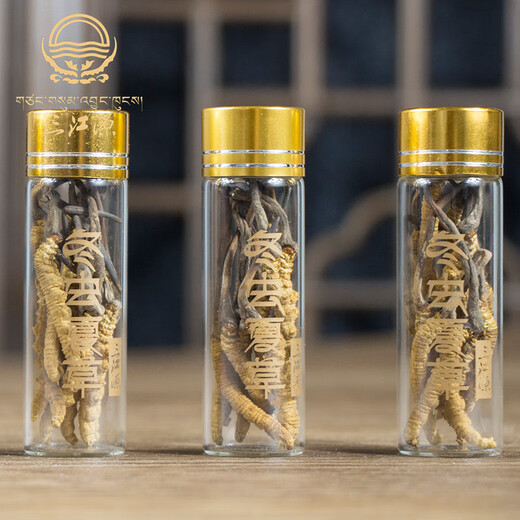 Sanjiangyuan Cordyceps sinensis 4 racines / g 5g 20 racines dans la boîte cadeau Cordyceps sinensis à Yushu, Qinghai, Wild Cordyceps sinensis à Yushu, Yushu Cordyceps Sinensis