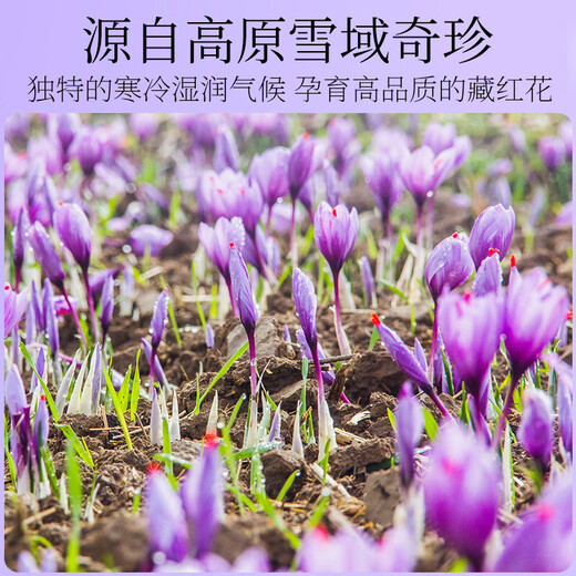 Minnong people's special saffron gift box saffron women's tonic for holiday gifts gifts for elders and parents Saffron gift box [20 grams pack]