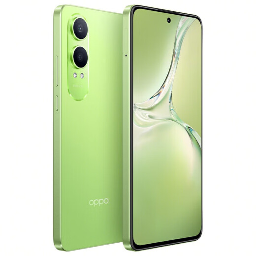 
OPPOK12 [Other optional K12X] Full Network 5G 100W flash charging 5500mAh long battery life Third-generation Snapdragon 7 flagship core Straight screen new photo game AI mobile phone Ningguang Green丨K12x (Snapdragon 695) 12GB+512GB