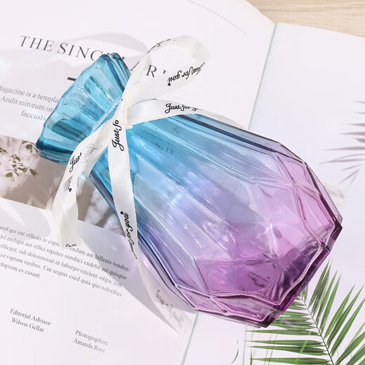 TaTanice glass vase vase dry flower artificial flower hydroponic flower arrangement rose lily rich bamboo living room decoration