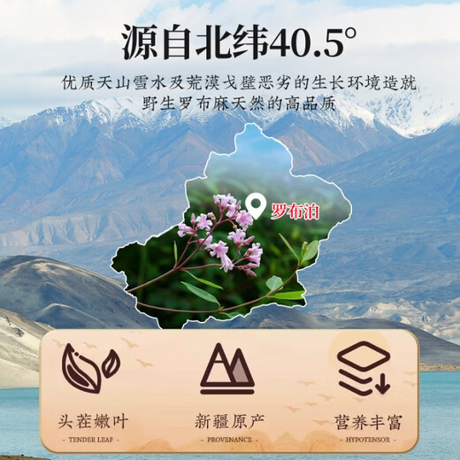 Xiehe Jingpin genuine Apocynum tea, Xinjiang non-wild anti-hypertensive tea, blood pressure health-preserving tea with Gynostemma pentaphylla, Qingqian Liufei tea, one can of Gynostemma pentaphyllum, fat-pressing combination