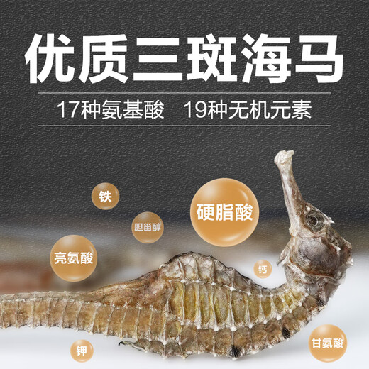 陆零后 三斑海马药材【CAWC认证】大型干海马干货公母一对海龙海马泡酒 【三斑海马1对】 6克