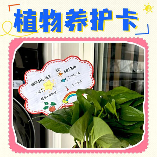 Pflanzenpflegekarte, grüne Pflanzenkarte, Kindergartenetikett, individuelles wasserdichtes Namensschild für Topfpflanzen, Gartenarbeitsaktivität, gemischtes und passendes Damenmodell, 6 Blatt, nicht wasserdicht, kostenloser Clip