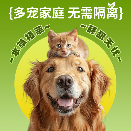 Cat ear cleaning solution, ear mites, dog ear bleaching ear drops, cat ear cleaning solution, removal of ear odor, ear itching, earwax, otitis, suppuration, redness, inflammation, anti-itching, infection, ear cleaning solution, care solution, ear mite killer 60ml*2 bottles