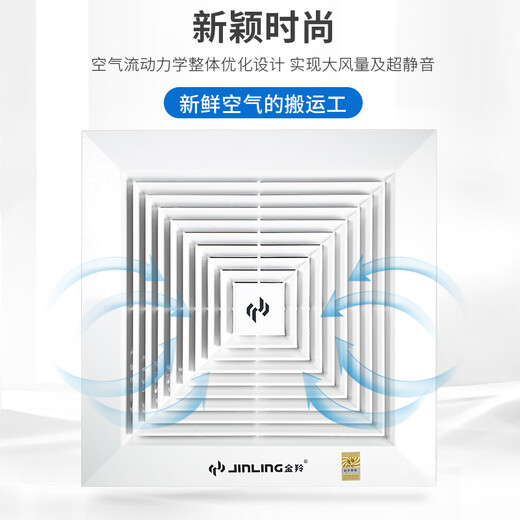 Jinling (JINLING) Jinling exhaust fan 10-inch bathroom ceiling pipe ceiling-mounted exhaust fan BPT15-12-30 (P7A) 10-inch pipe drilling 24*24cm 0mm