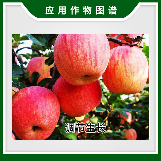 Xinruifeng Ruijunguo 2% gibberellic acid A4+A7 apple tree growth regulator plant growth regulator 100ml 100ml