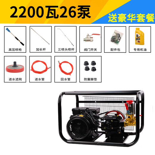 220V voltaic pesticide machine electric high voltage agricultural new style greenhouse high power orchard pesticide pump spray artifact 3000 watt 60 pump bare metal + 300 meters pipe