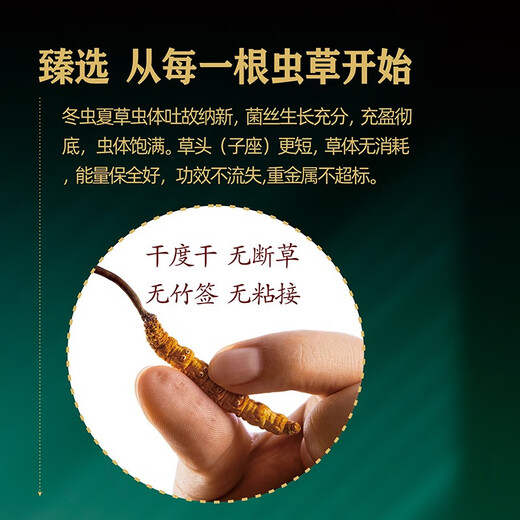 Kleiner Topf Cordyceps sinensis, Cordyceps sinensis, amerikanischer Ginseng, Dendrobium Safran und andere nahrhafte landwirtschaftliche Produkte Business Geschenk Cordyceps sinensis Gesundheit Tee 3 Dosen