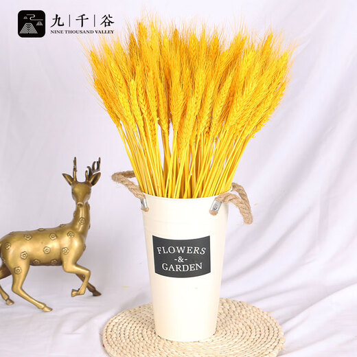 Nine thousand grains of wheat ears dried flowers and barley simulated bouquets for home living room pastoral decoration fake flower props gold 200 pieces 4404