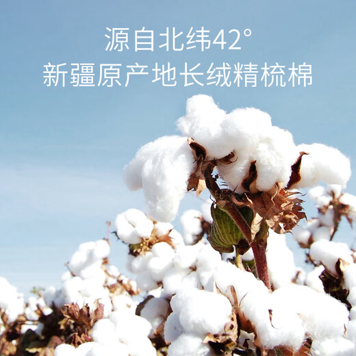 BETUS baby socks spring and autumn style newborn baby boneless socks for men and women breathable cooling socks