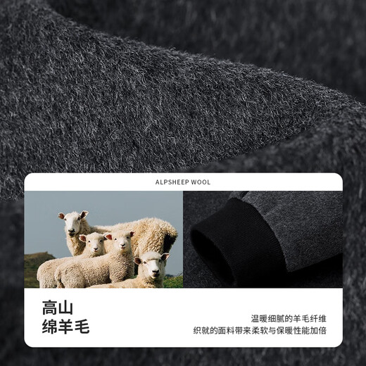 Goldlion Goldlion GY Sheep Wool Jacket Men's Autumn and Winter New Warm Stand-up Collar Fashion Woolen Jacket Gray L